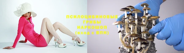 кокаин колумбия Алексин