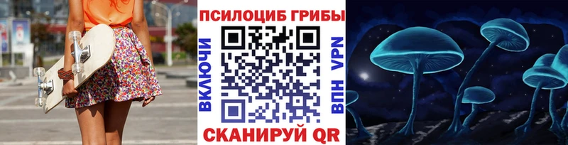 Галлюциногенные грибы Psilocybe Бабушкин